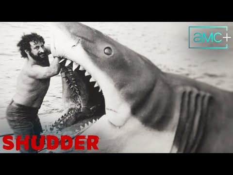Sharksploitation | Official Trailer | Shudder
