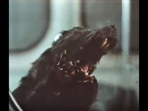 Rats (1982) - Trailer