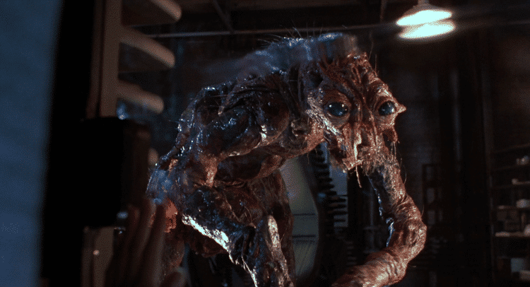 Top 3 : Des films de Cronenberg par Amy 21 the fly 1986