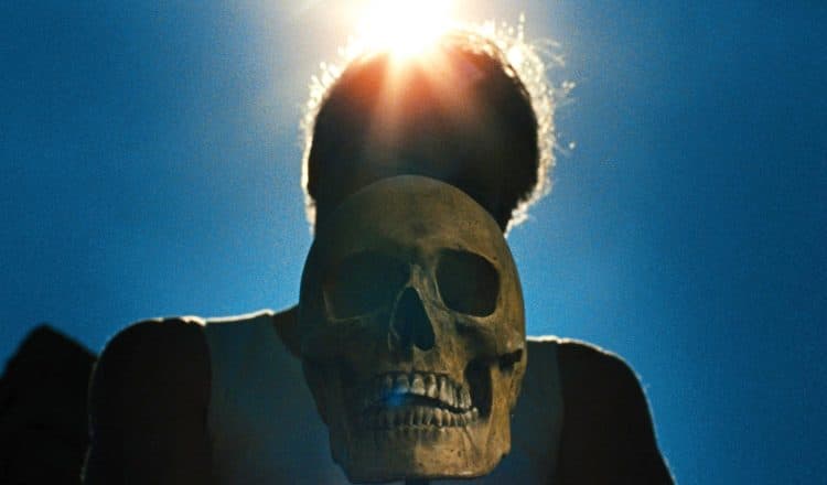 Quoi de neuf sur Shudder – Juillet 2025 29 laissez bronzer les cadavres
