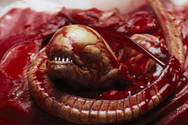 alien chestburster