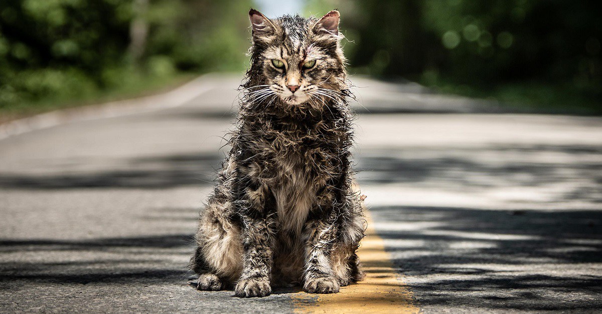 Pet Sematary FI