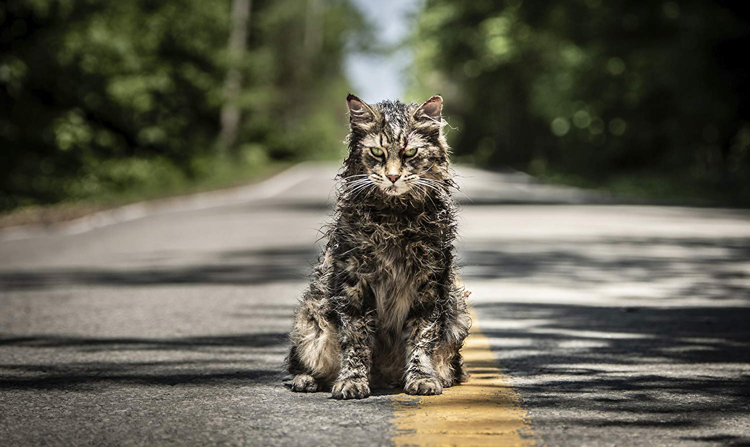 pet sematary remake