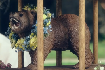 midsommar bear toy