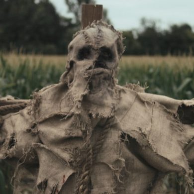 Scarecrows Still 1