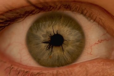 SHIFTER 2020 Official Sixty Second Trailer 0 7 screenshot