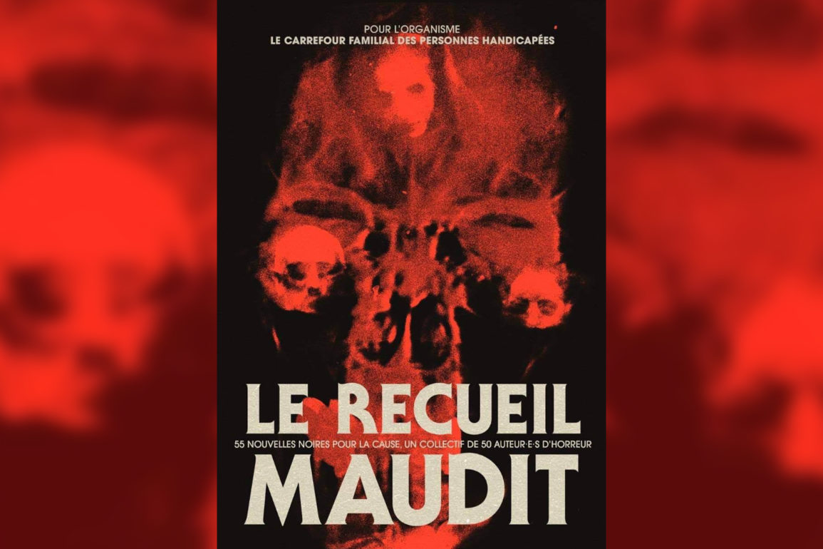 le recueil maudit livre