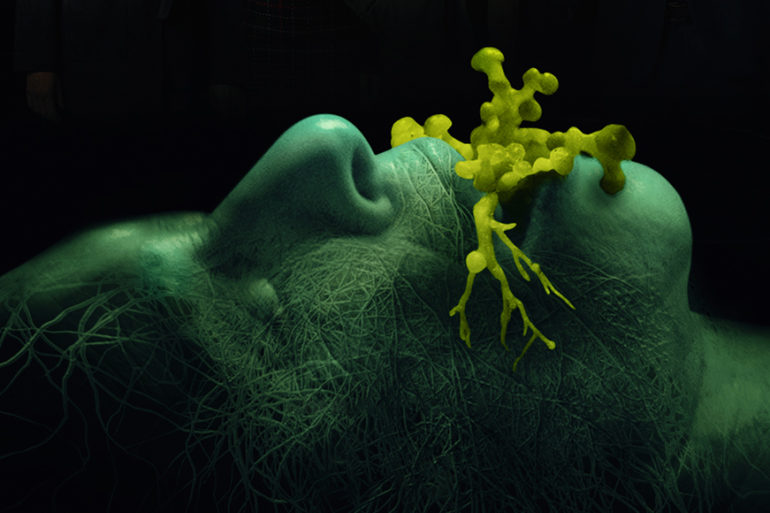 DE ThePrivilege Main Vertical 4x5 RGB PRE 1