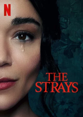 The Strays affiche film