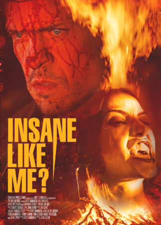 InsaneLikeMe Poster