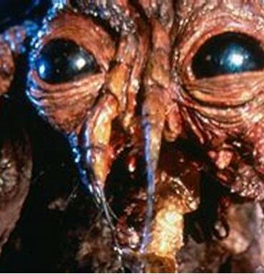 The fly