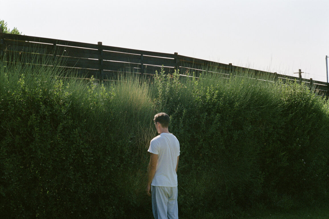 DOGTOOTH STILL04
