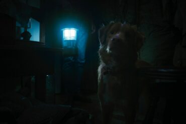 Good Boy1