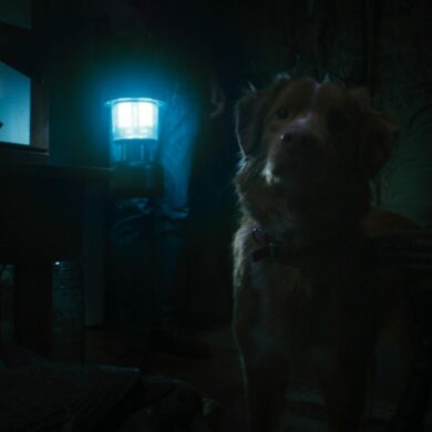 Good Boy1