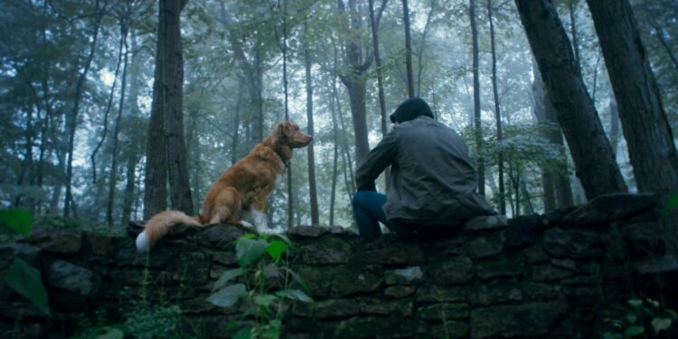 Good Boy2