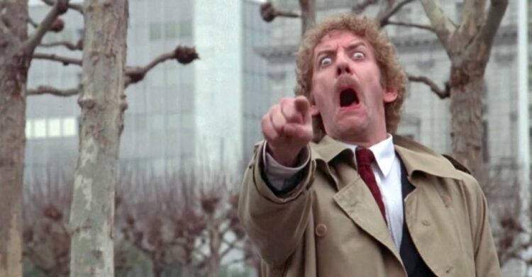 Invasion Of The Body Snatchers Horse Cropped