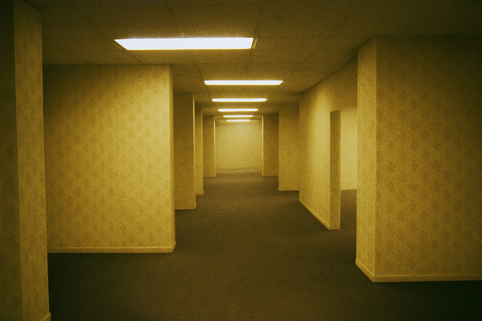 dd197461 df89 4a8d 8c44 b1bd59a8ac28