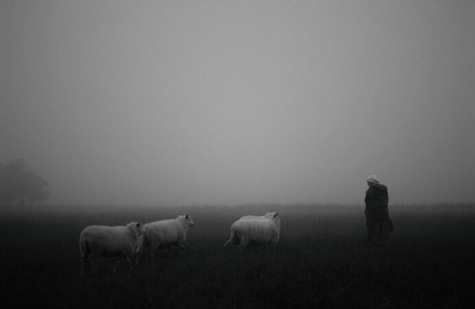 BARLEBAS STILLS 04 scaled e1680613797804