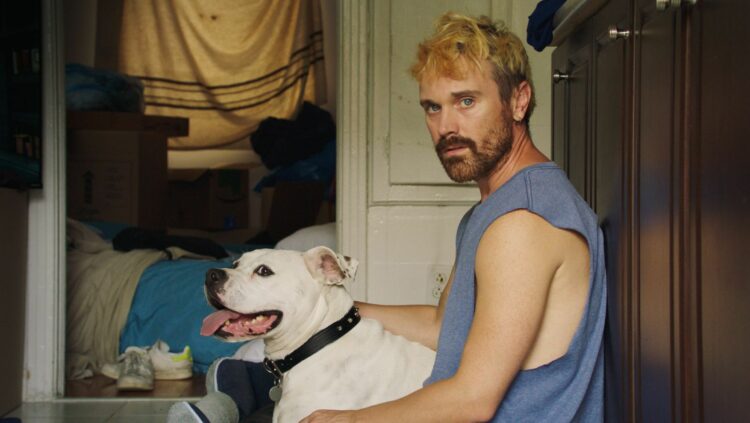 molosse still2 50670