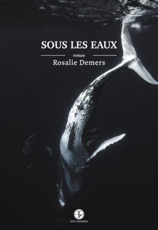 Sous les eaux RosalieDemers