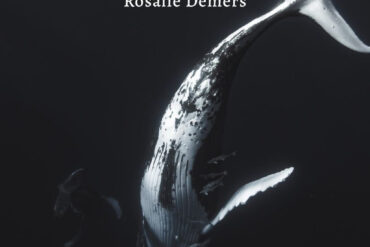 Sous les eaux RosalieDemers