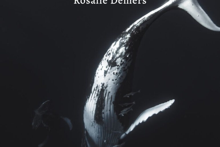 Sous les eaux RosalieDemers