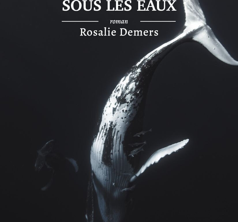 Sous les eaux RosalieDemers