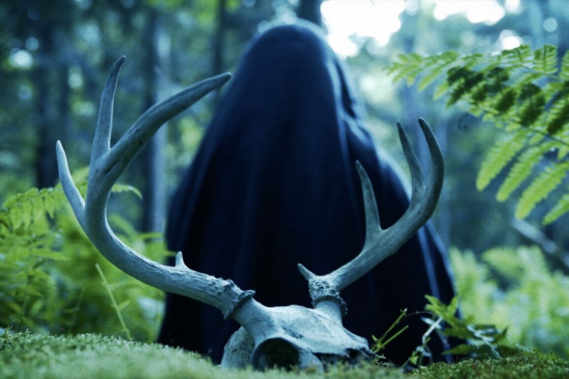 MOTHER OF FLIES Still 3