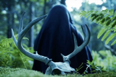 MOTHER OF FLIES Still 3