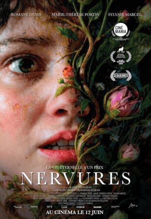 nervures